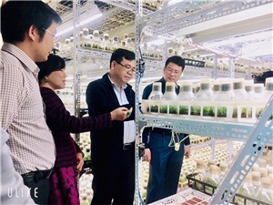 Công ty CP Phát triển Agri-Tech trở thành doanh nghiệp KH&amp;CN